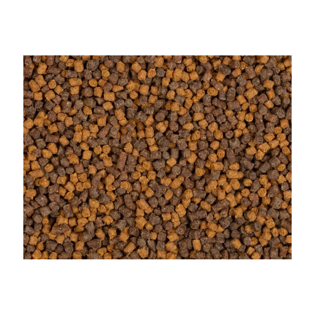 Pellet BaitNow Method Feeder 800g 2mm - Yellow Spin Pellet BaitNow Method Feeder 800g 2mm - Yellow Spin