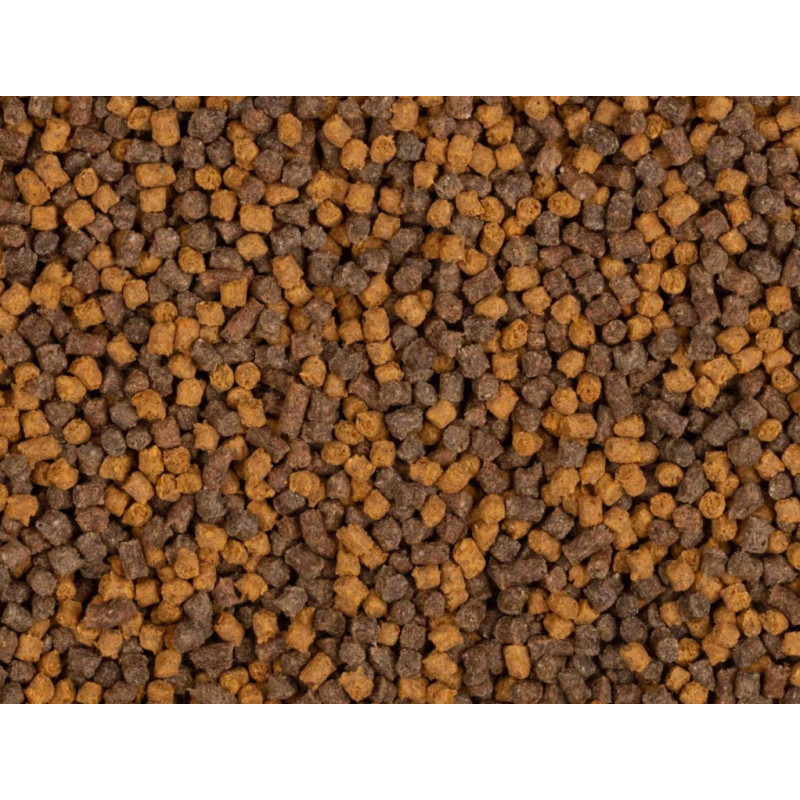 Pellet BaitNow Method Feeder 800g 2mm - Yellow Spin Pellet BaitNow Method Feeder 800g 2mm - Yellow Spin