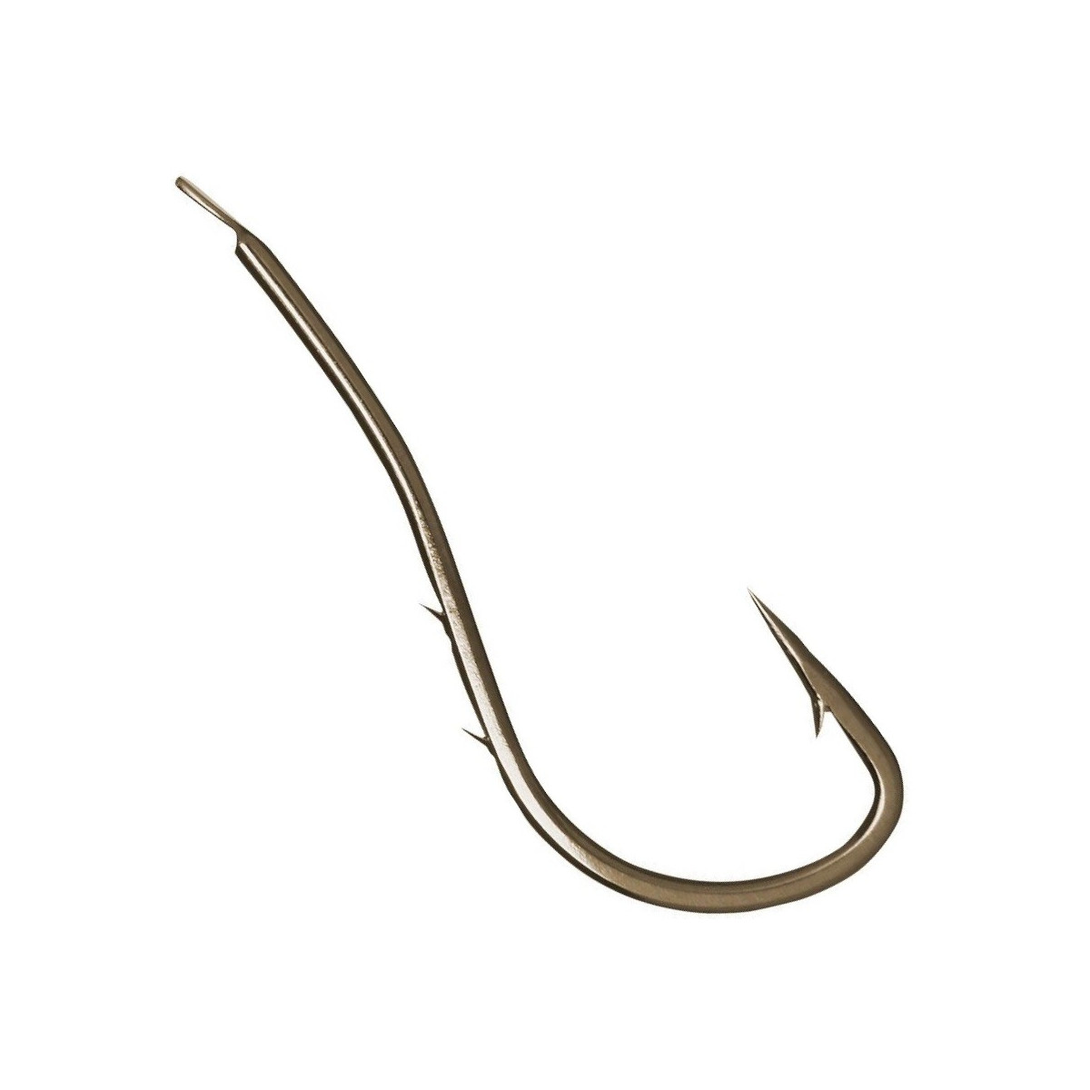 haki-tournament-wegorzowe-daiwa haki-tournament-wegorzowe-daiwa