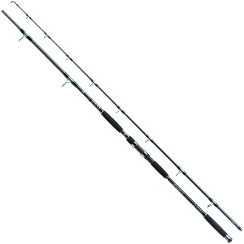 Wędka Jaxon Eclatis Catfish 285cm / 500g