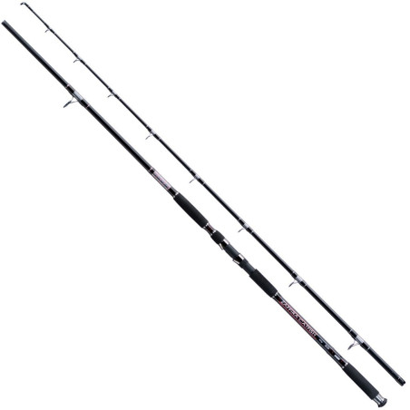 Wędka Jaxon Zaffira Catfish RT 270cm / 550g