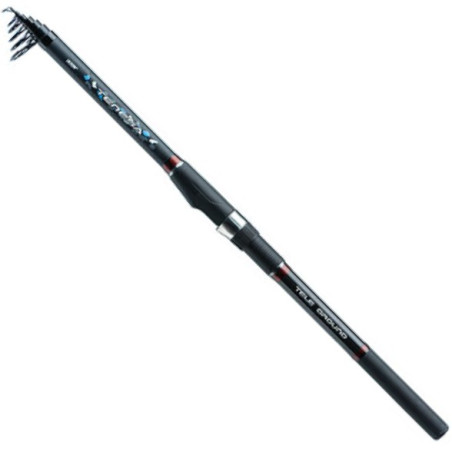 Wędka Jaxon Tenesa Tele Ground 300cm / 20-60g Wędka Jaxon Tenesa Tele Ground 300cm / 20-60g