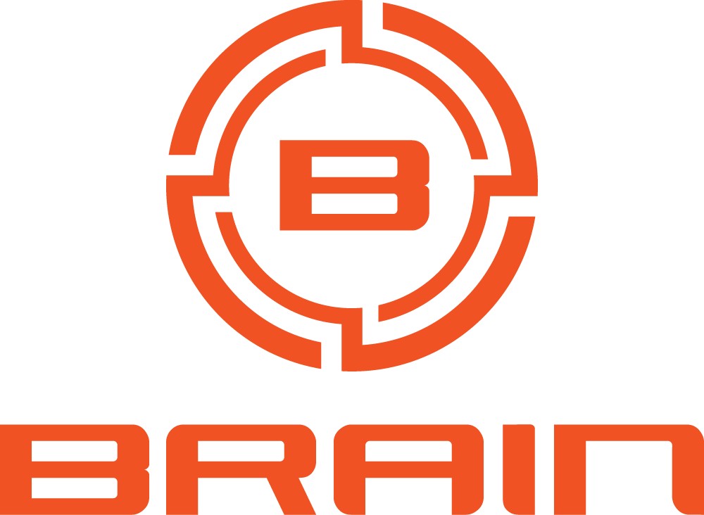 Brain